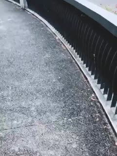 户外调教骚母狗